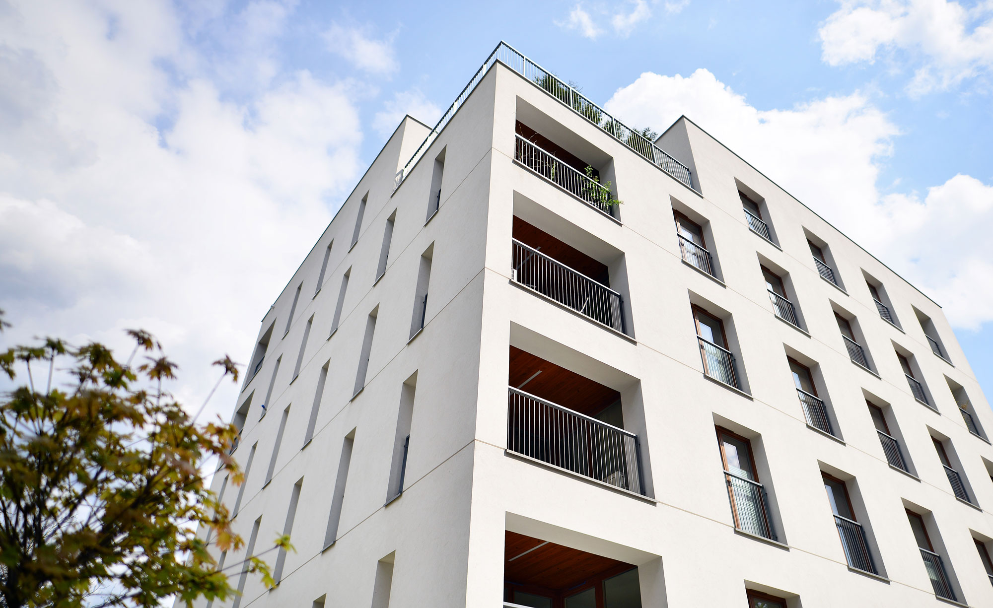 arimmo Immobilien Treuhand GmbH